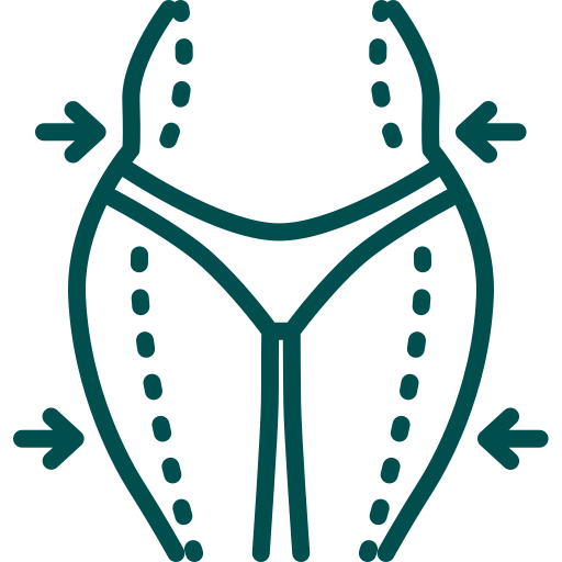 Body Aesthetics - Icon